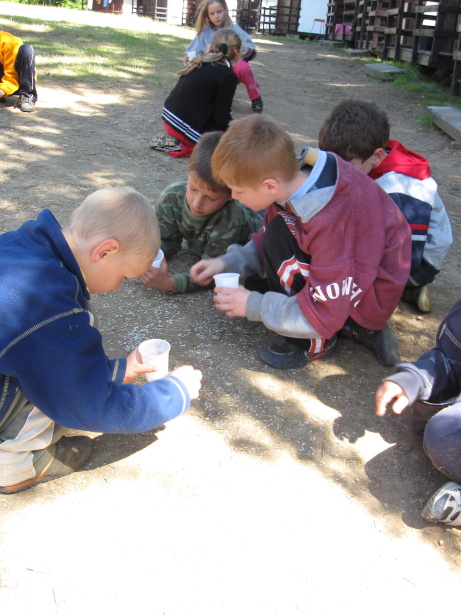 skola v prirode arnestovice 09 238.jpg